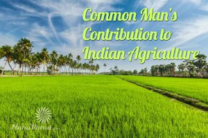 improve Indian agriculture