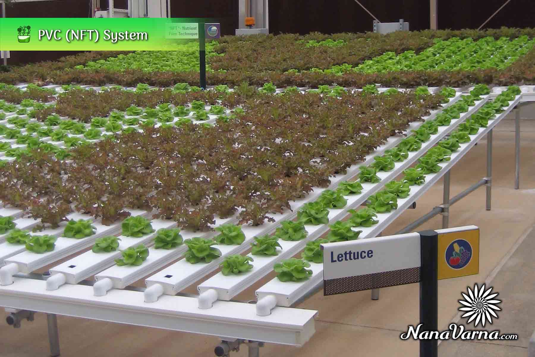 hydroponic garden system 05