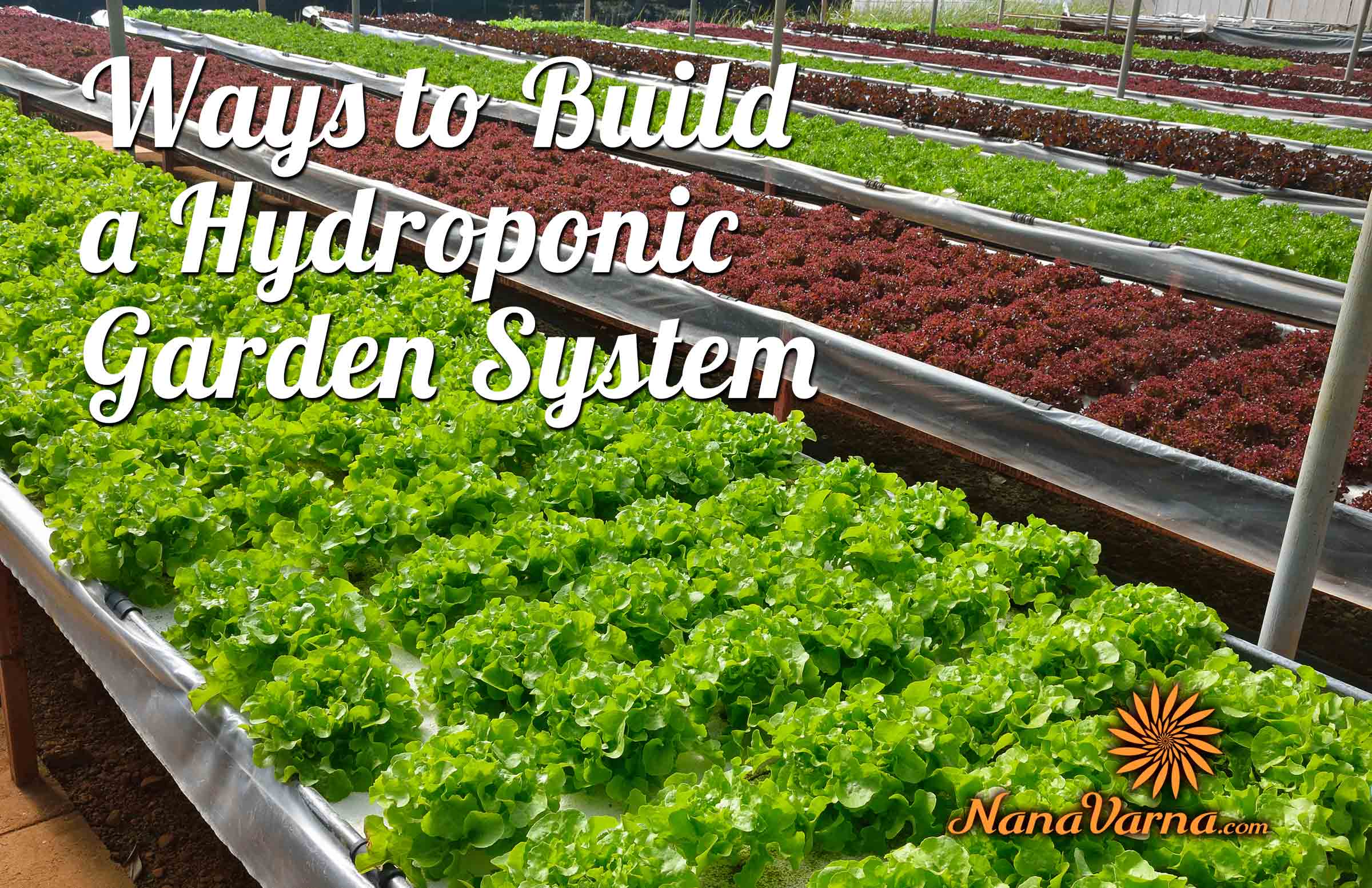 hydroponic garden system